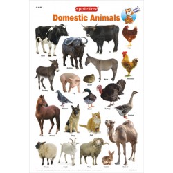 Domestic Animals Chart